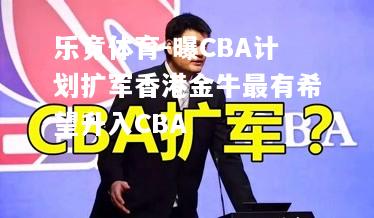 曝CBA计划扩军香港金牛最有希望升入CBA