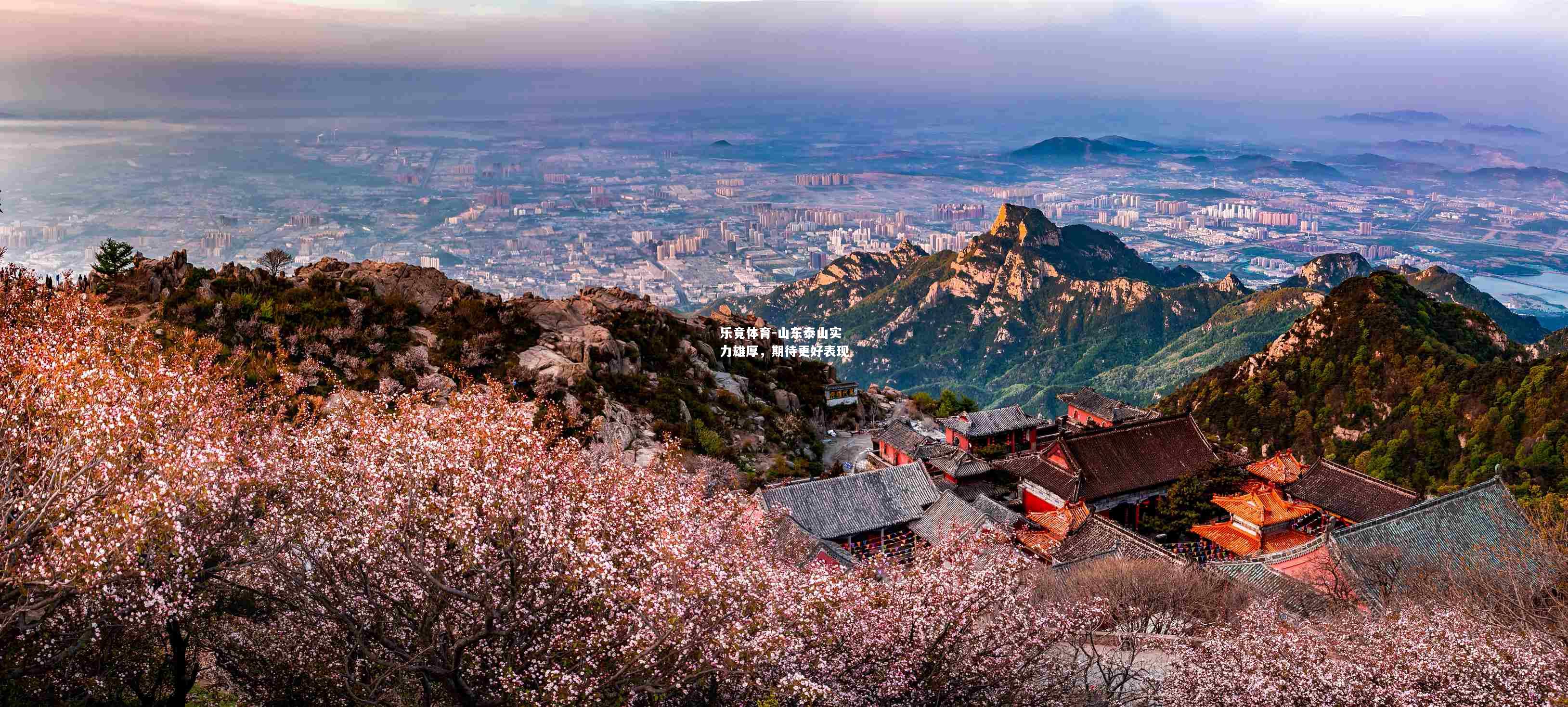 山东泰山实力雄厚，期待更好表现